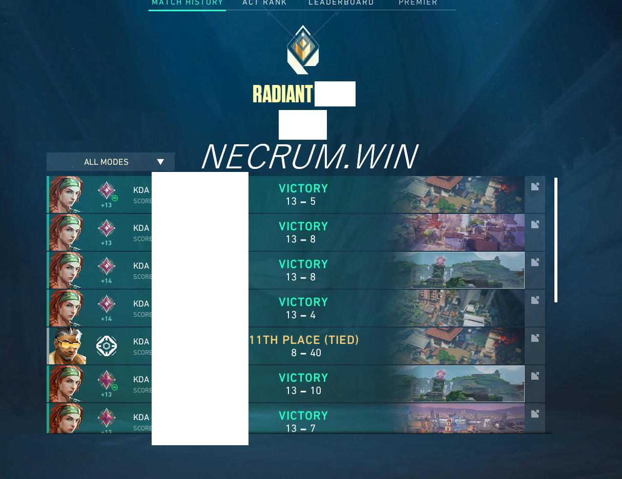 Average Necrum User
